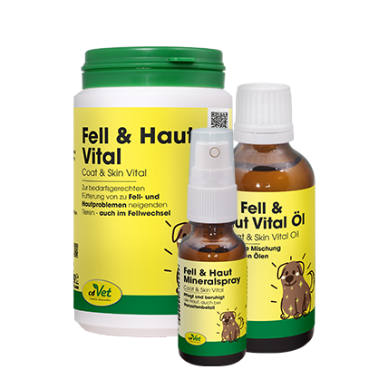 Bundle Fell & Haut