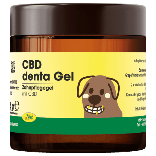 CBD denta Gel 35 g