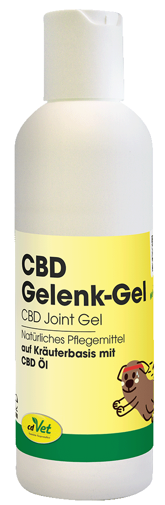 CBD Gelenk-Gel 100 ml