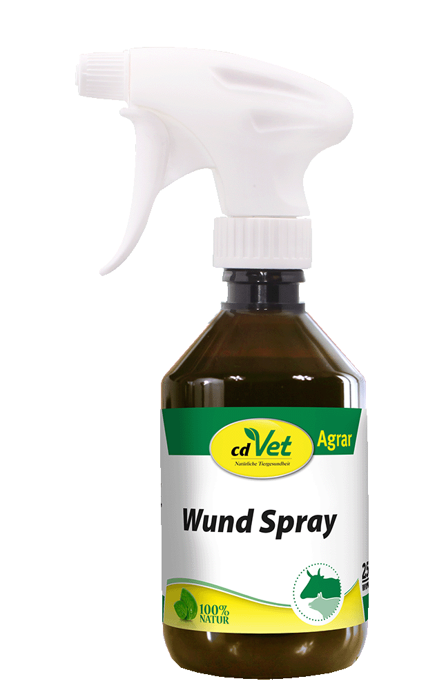 Wund Spray 250 ml