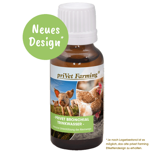privet Bronchial Trinkwasser 20 ml