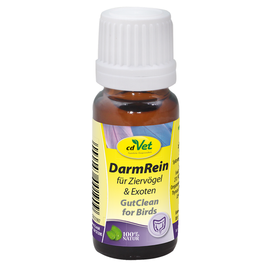 DarmRein Ziervogel 10 ml