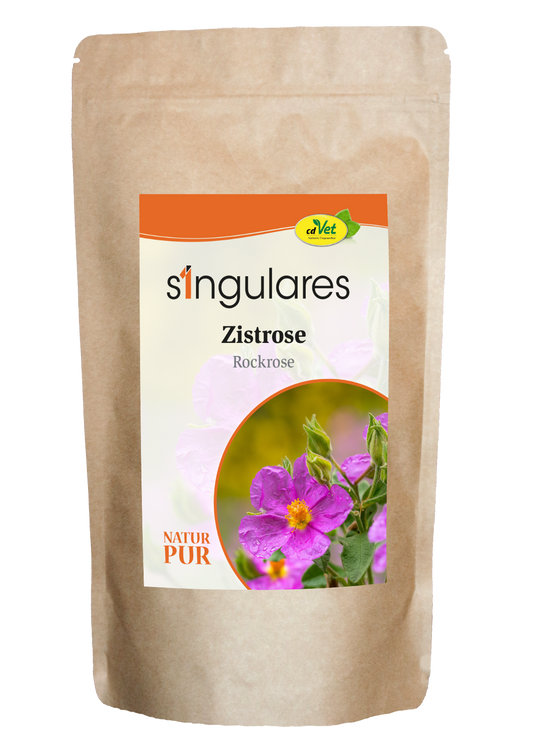 Singulares Zistrose 100 g