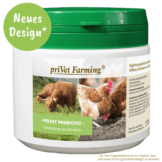 privet Prebiotic 500 g