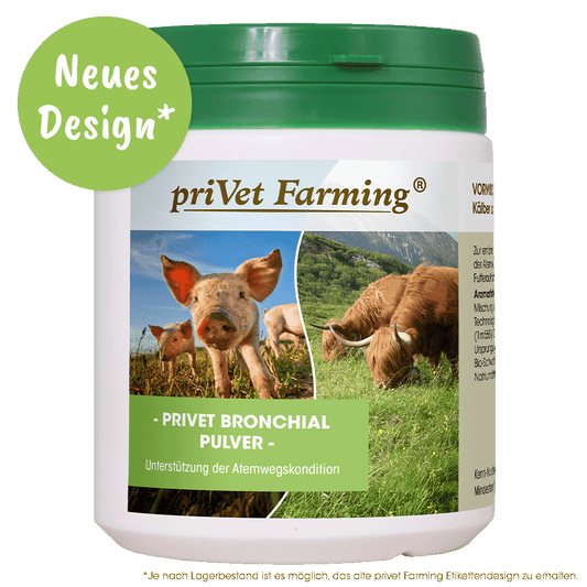 privet Bronchial Pulver 450 g