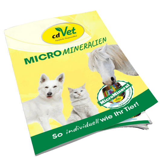 Broschüre MicroMineral A5