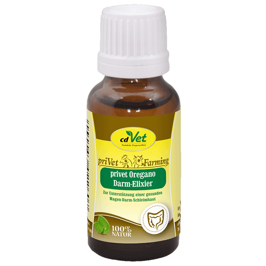 priVet Oregano-Darm-Elixier 20 ml
